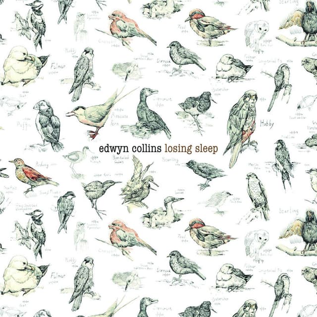Losing Sleep cover