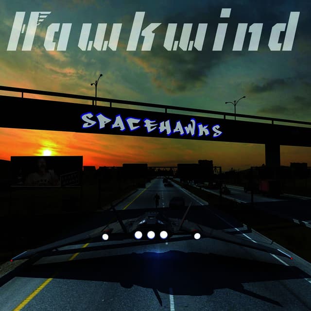 Spacehawks cover
