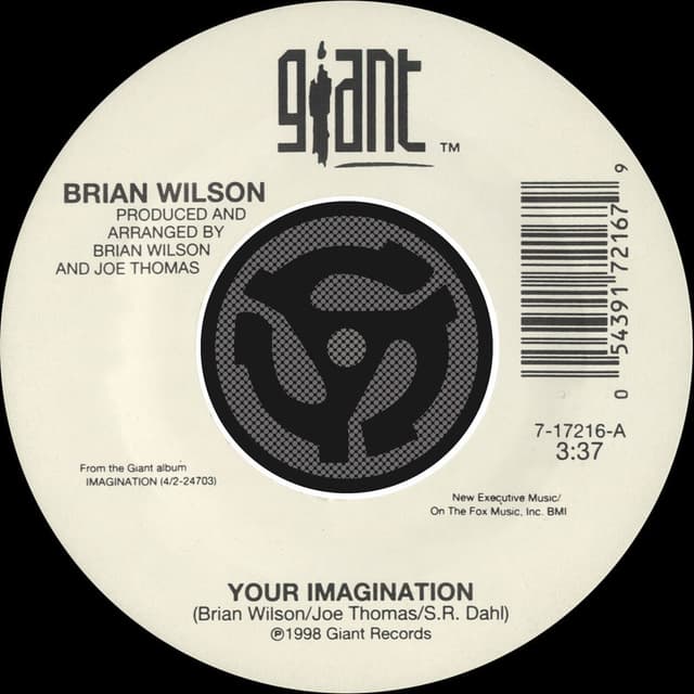 Your Imagination / Your Imagination (A Cappella) (45 Version) cover