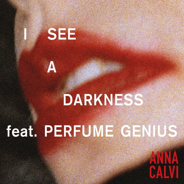 I See A Darkness cover