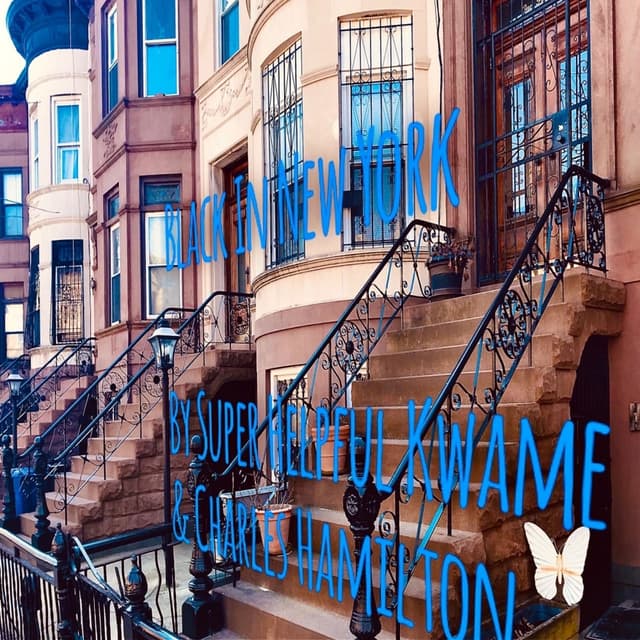 Black in NY cover