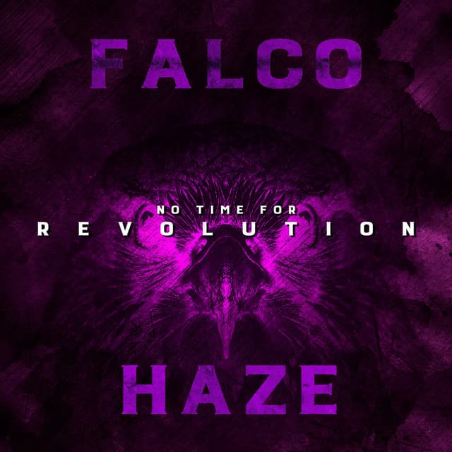 No Time for Revolution cover