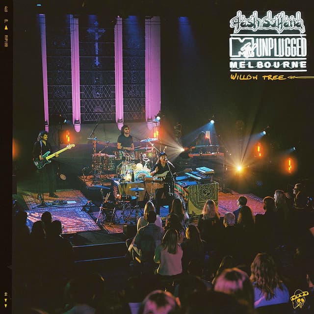Willow Tree (MTV Unplugged Live In Melbourne) cover