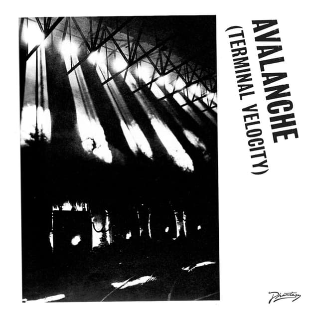 Avalanche (Terminal Velocity) cover