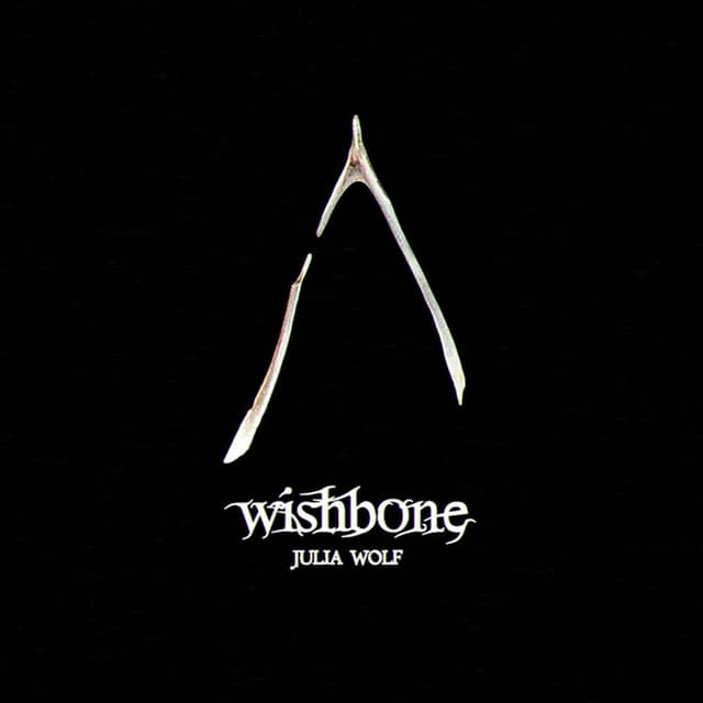 Wishbone cover