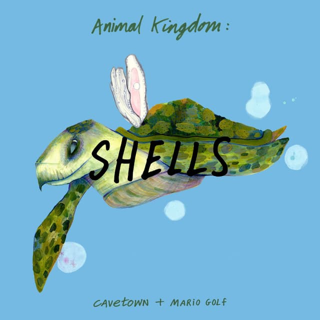 Animal Kingdom: Shells cover