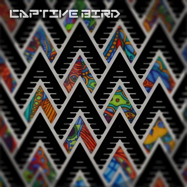 Captive Bird cover