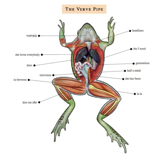 The Verve Pipe cover