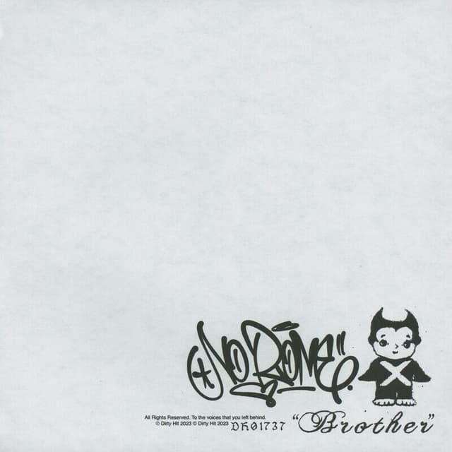 Brother cover