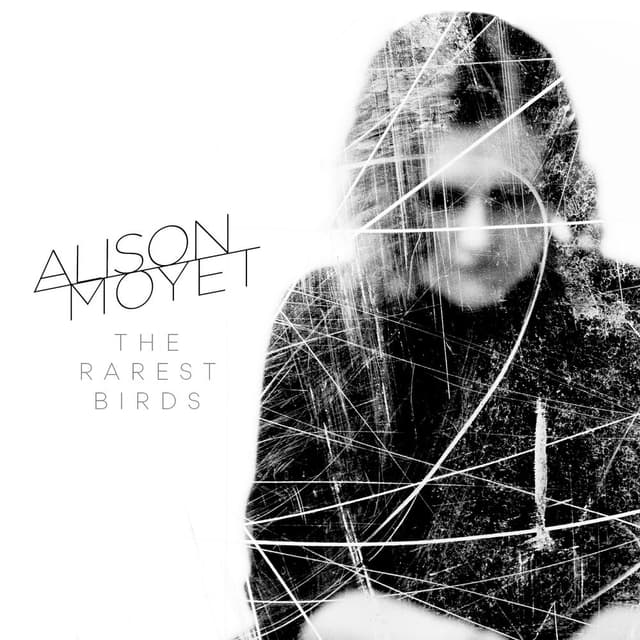 The Rarest Birds cover