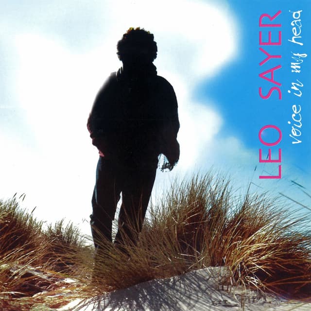 Voice in My Head cover