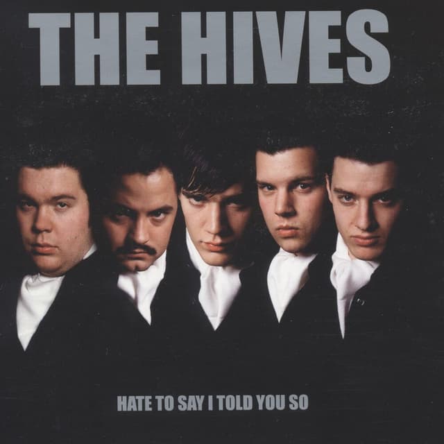 Hate To Say I Told You So cover