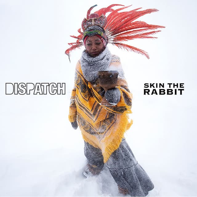 Skin the Rabbit (Edit) cover