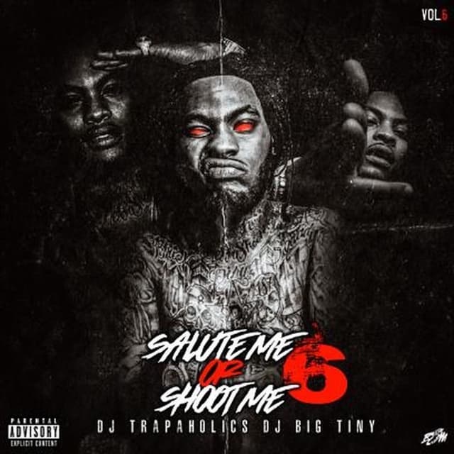 Salute Me or Shoot Me 6 cover
