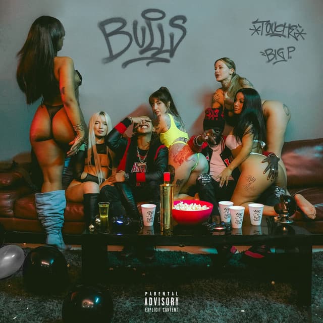 BULLS cover