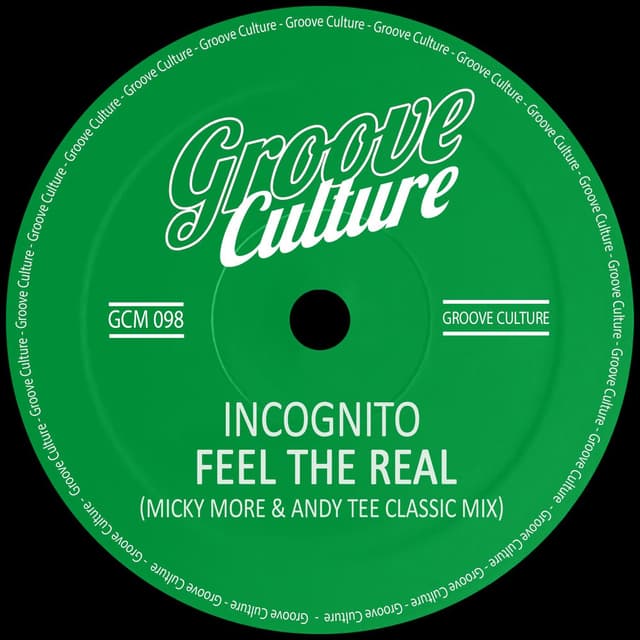 Feel The Real (Micky More & Andy Tee Remix) cover