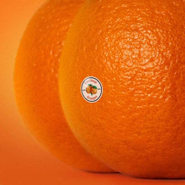 The Juice: Vol. II cover