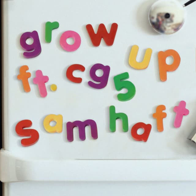 Grow Up (feat. CG5) cover