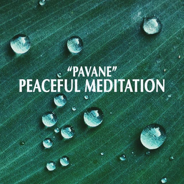 "Pavane" - Peaceful Meditation cover