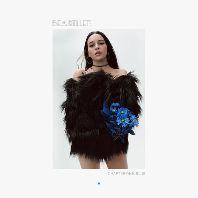 chapter one: blue cover