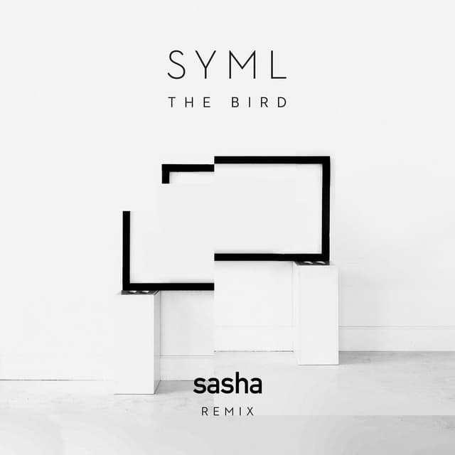 The Bird (Sasha Remix) cover