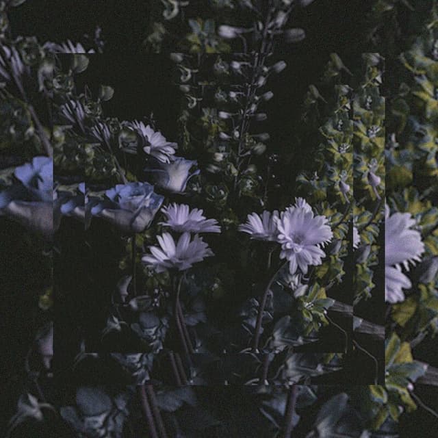 It's Beautiful. album cover