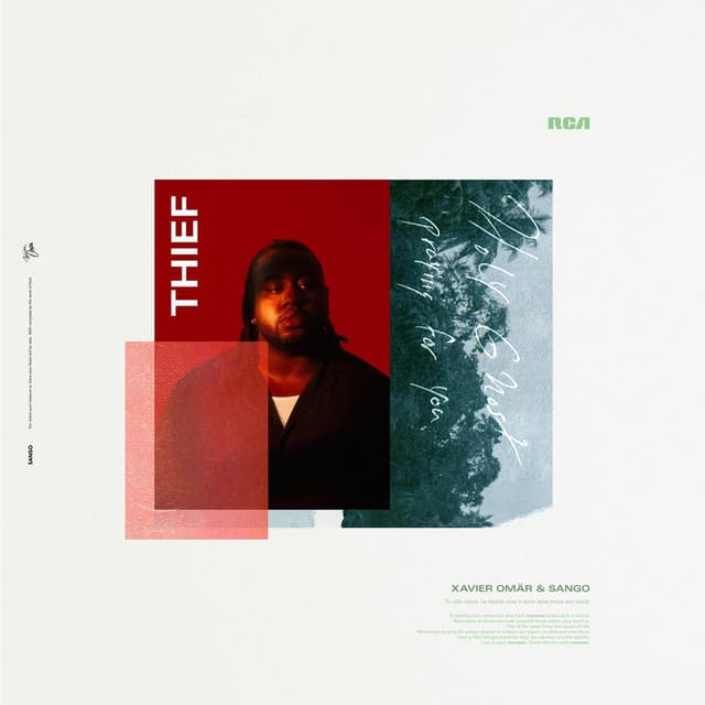 Thief cover
