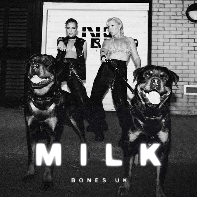 Milk cover