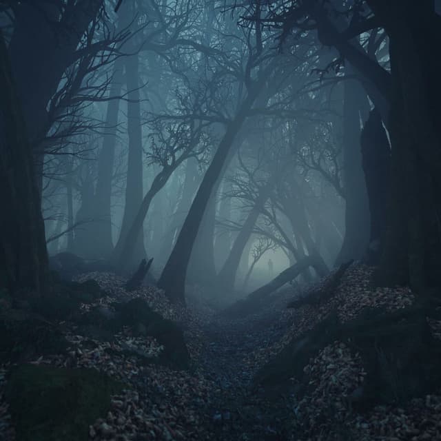 Parasomnia cover