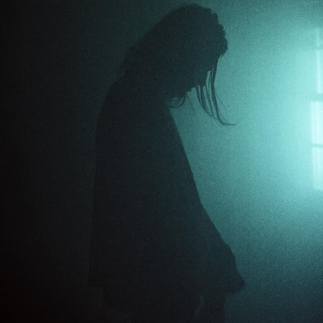 Delusion cover