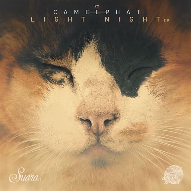 Light Night cover