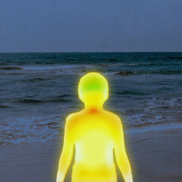 Pineapple Sunset cover