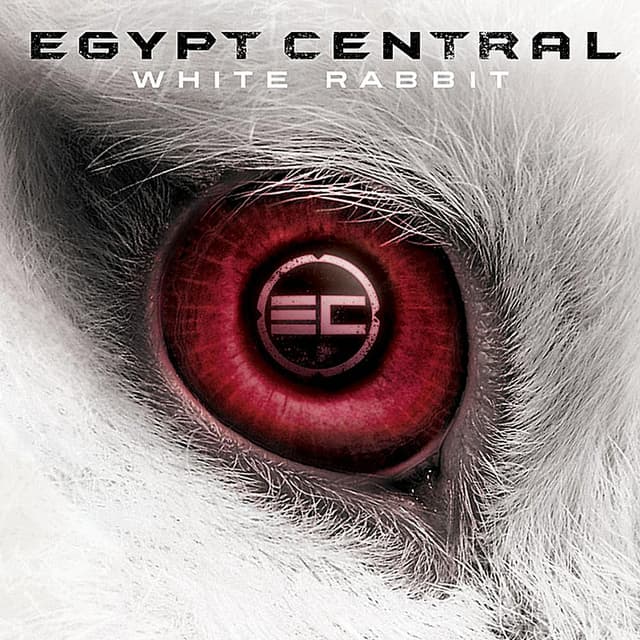 White Rabbit album cover