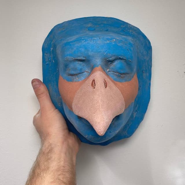 The Bird Song cover
