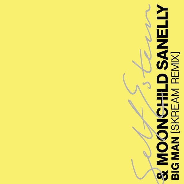 Big Man (Skream Remix) cover