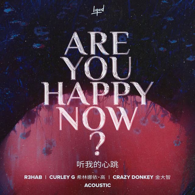Are You Happy Now (Acoustic) cover