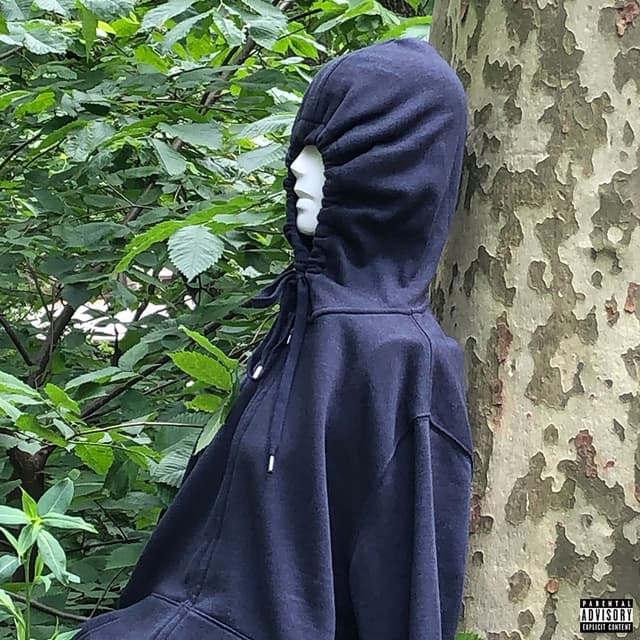 MEGAN cover