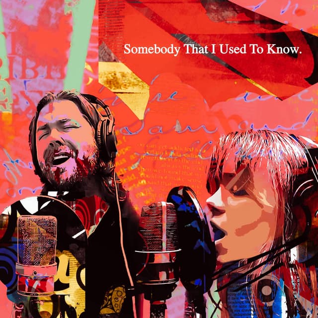 Somebody That I Used To Know cover