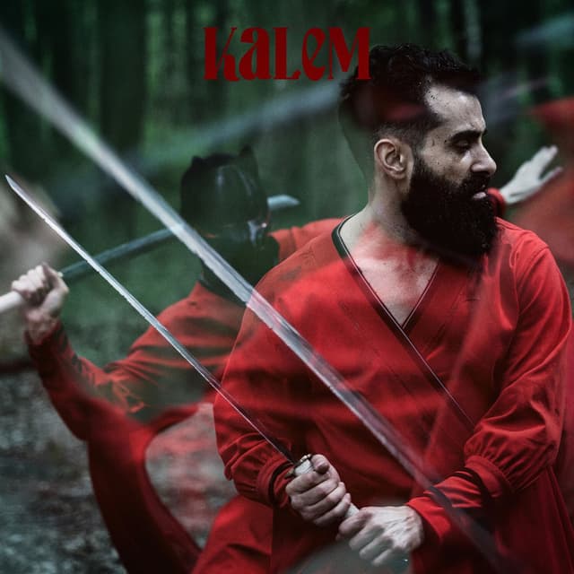 Kalem cover