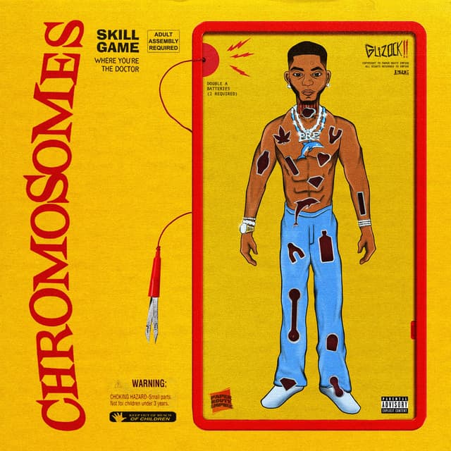 Chromosomes cover