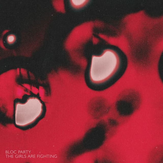 The Girls Are Fighting (Edit) cover