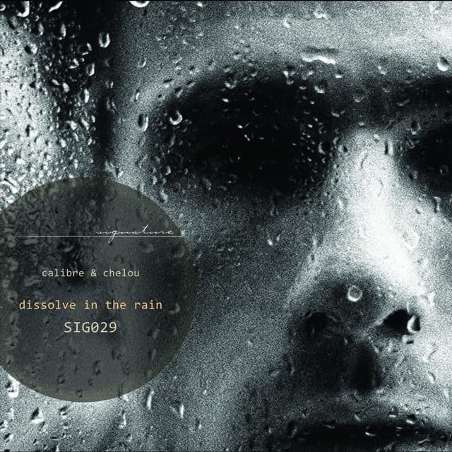 Dissolve In The Rain cover