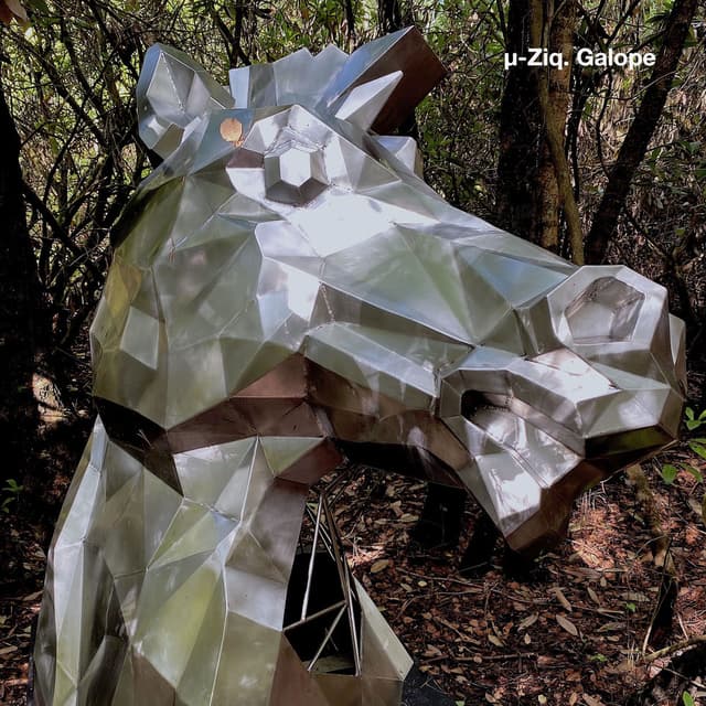 Galope cover
