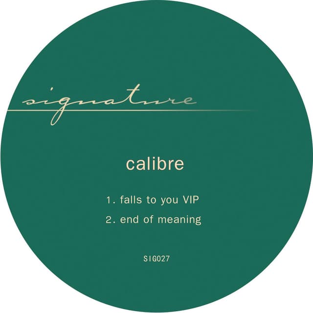 falls to you VIP / end of meaning cover
