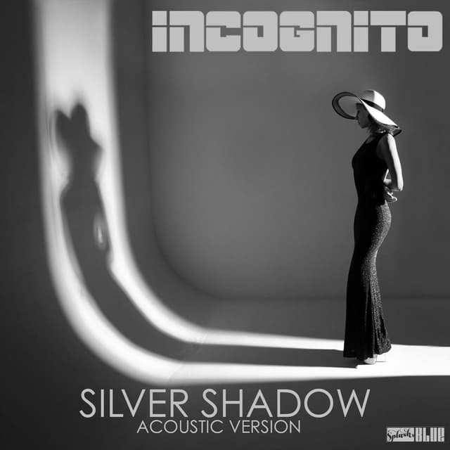 Silver Shadow (Acoustic Version) cover