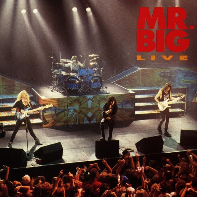 Mr. Big Live cover