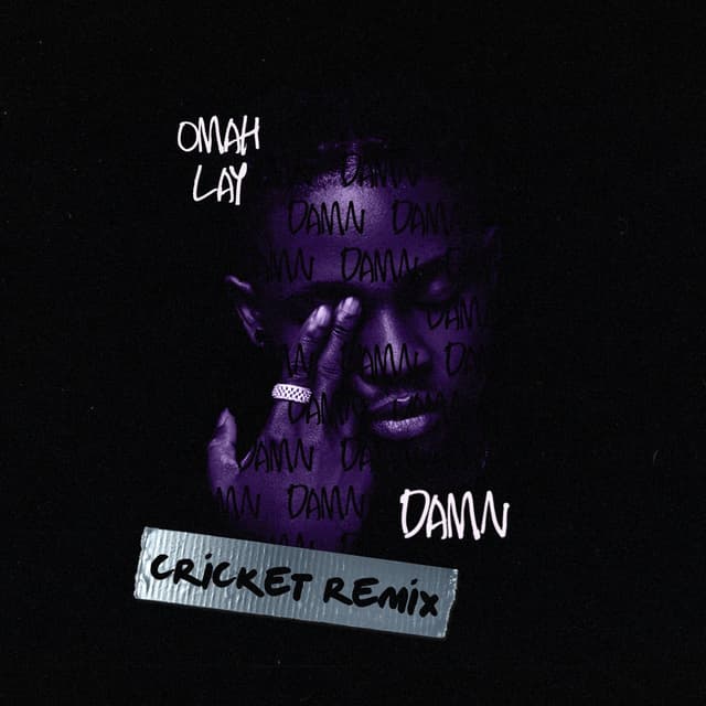 Damn (Cricket Remix) cover