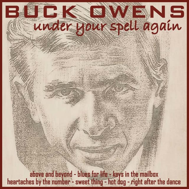 Under Your Spell Again cover