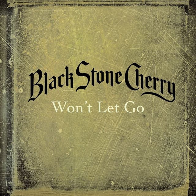 Won't Let Go cover