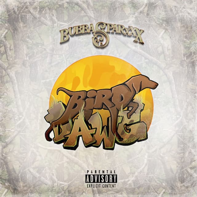 Bird Dawg cover